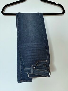 Everlane Skinny Jeans in Dark Blue Denim